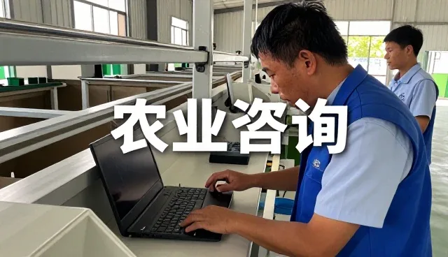 办公场所使用农业咨询需要注意什么?